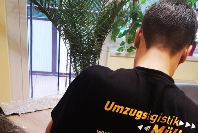 Laborumzug Steina stressfrei umziehen 